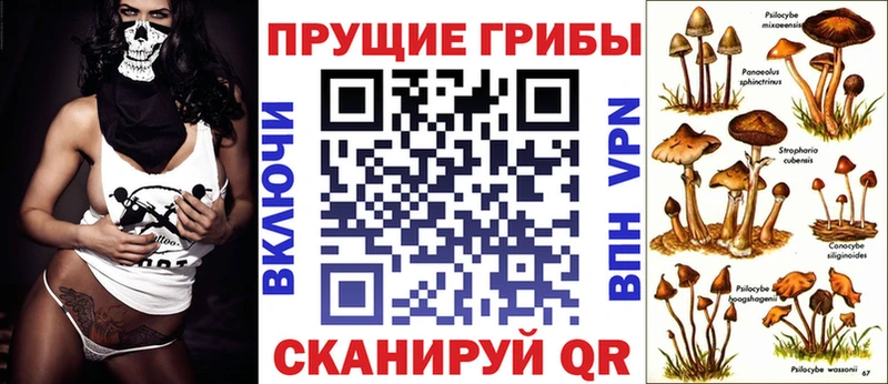 Псилоцибиновые грибы Cubensis Горнозаводск